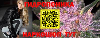 эйфоретик Тверь